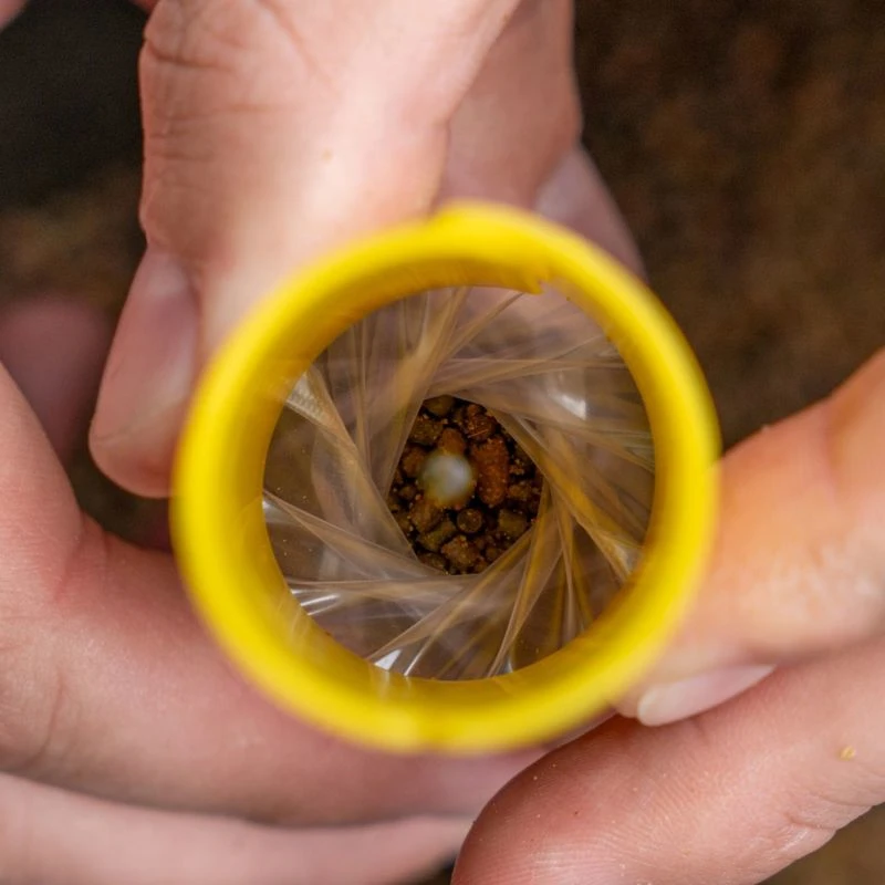Avid Carp Transfer Solid Bag System